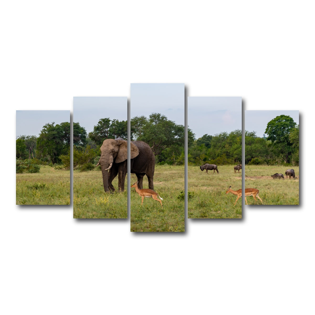 AUTO-MOCKUP WHITE | Kruger National Park | 5 Piece | Gallery Wrap Canvas | group=5_normal