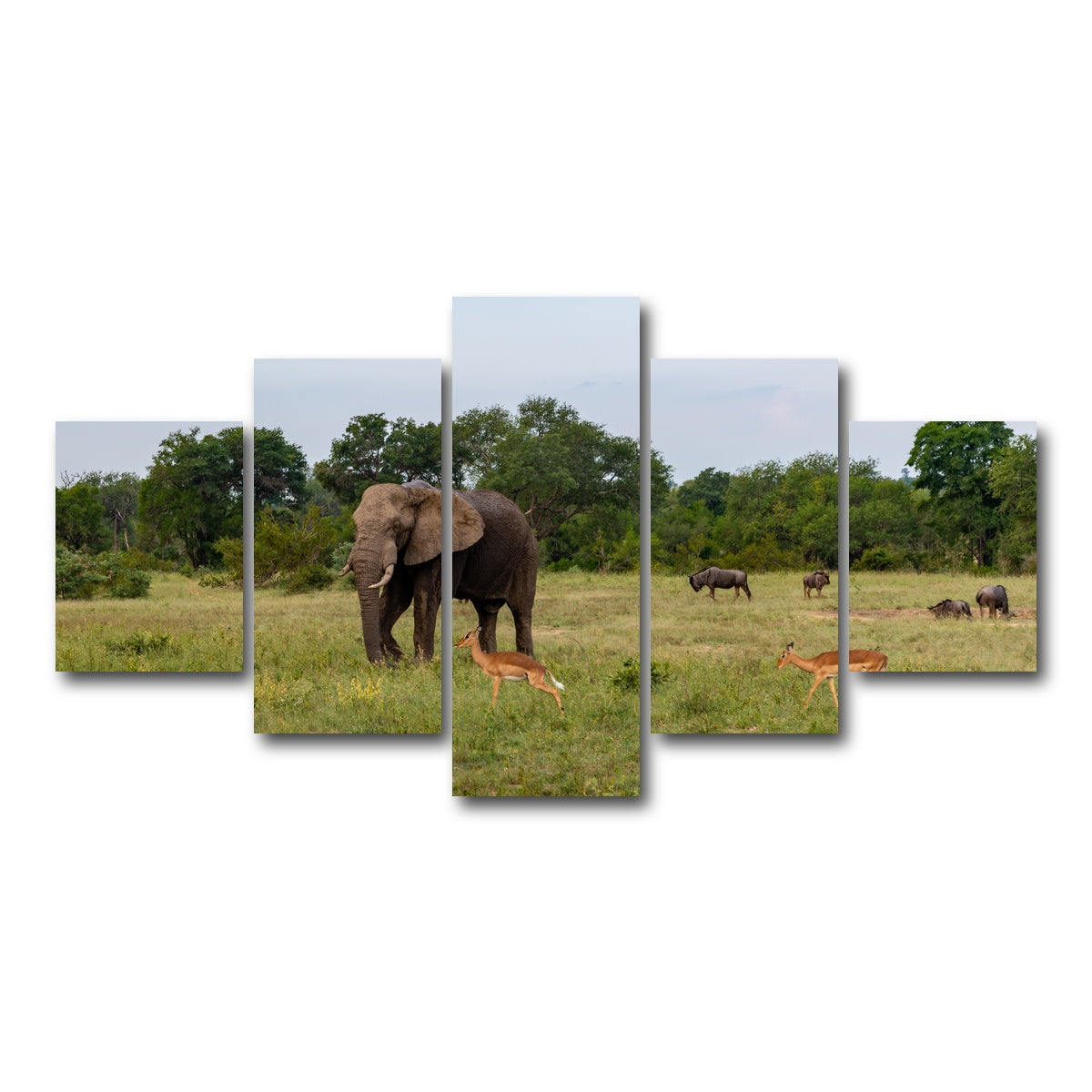 AUTO-MOCKUP WHITE | Kruger National Park | 5 Piece | Gallery Wrap Canvas | group=5_short