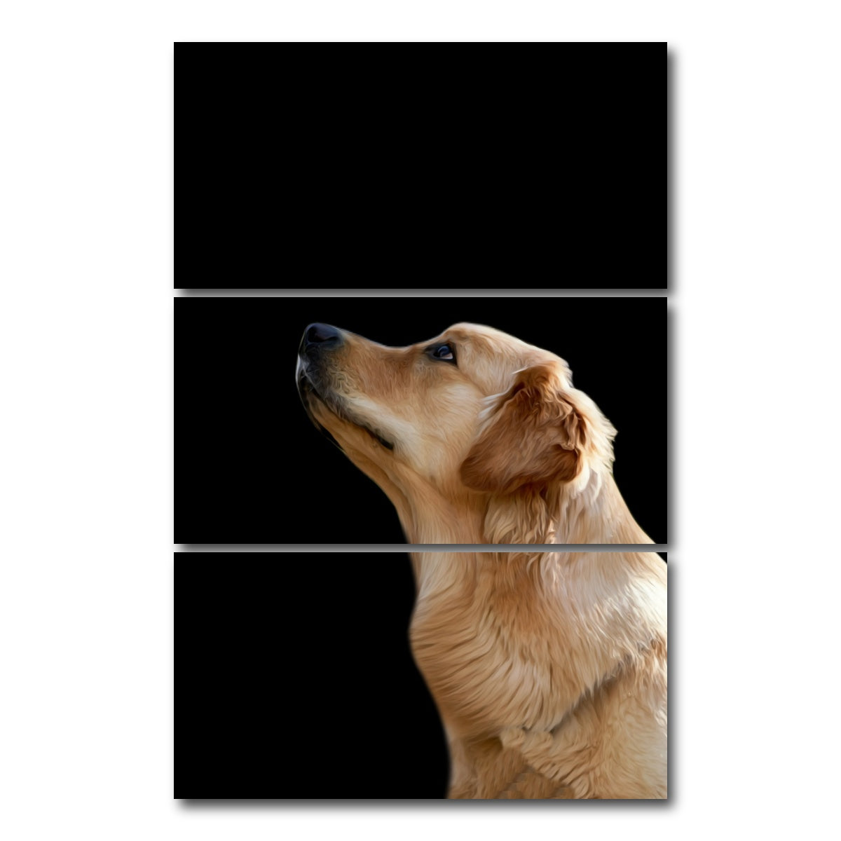 AUTO-MOCKUP WHITE | Labrador Retriever | 3 Piece | Gallery Wrap Canvas | group=12x24_stacked