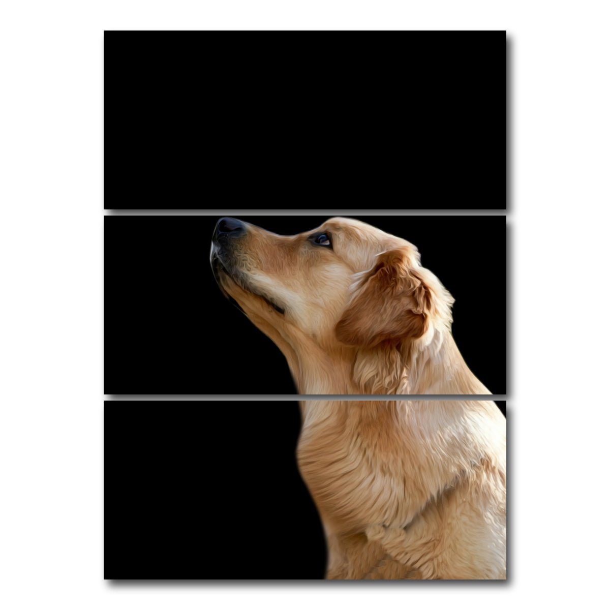 AUTO-MOCKUP WHITE | Labrador Retriever | 3 Piece | Gallery Wrap Canvas | group=8x18_stacked