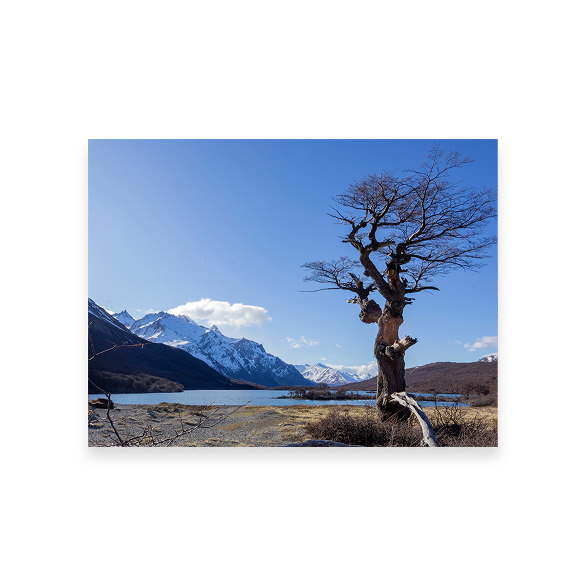 Laguna Hija - El Chaltén Wall Art