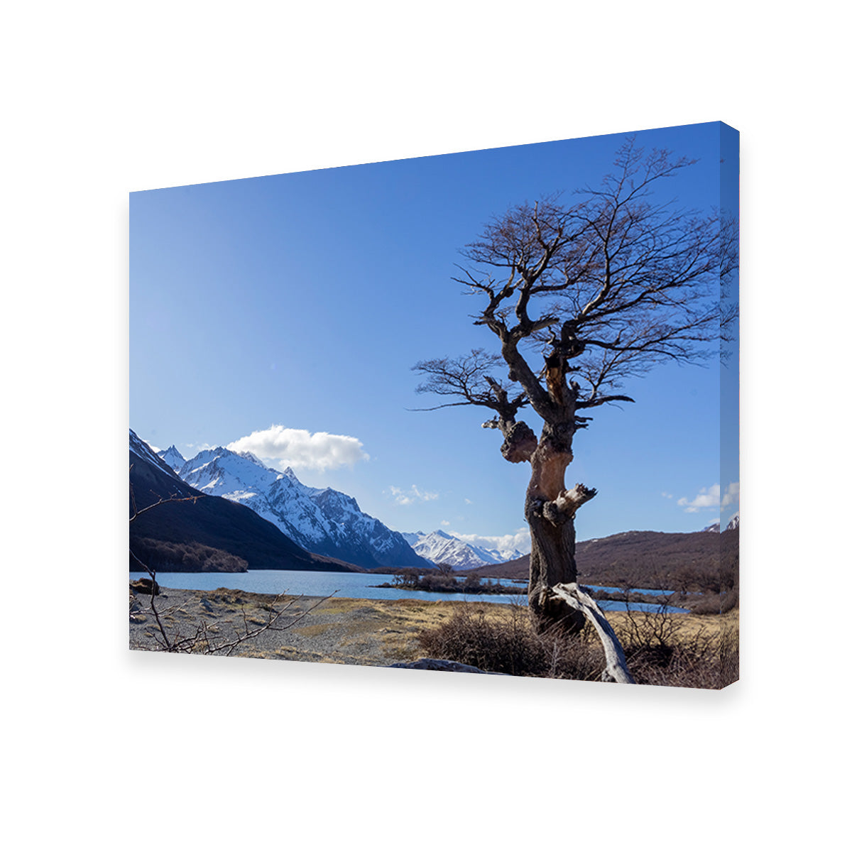 Laguna Hija - El Chaltén Wall Art