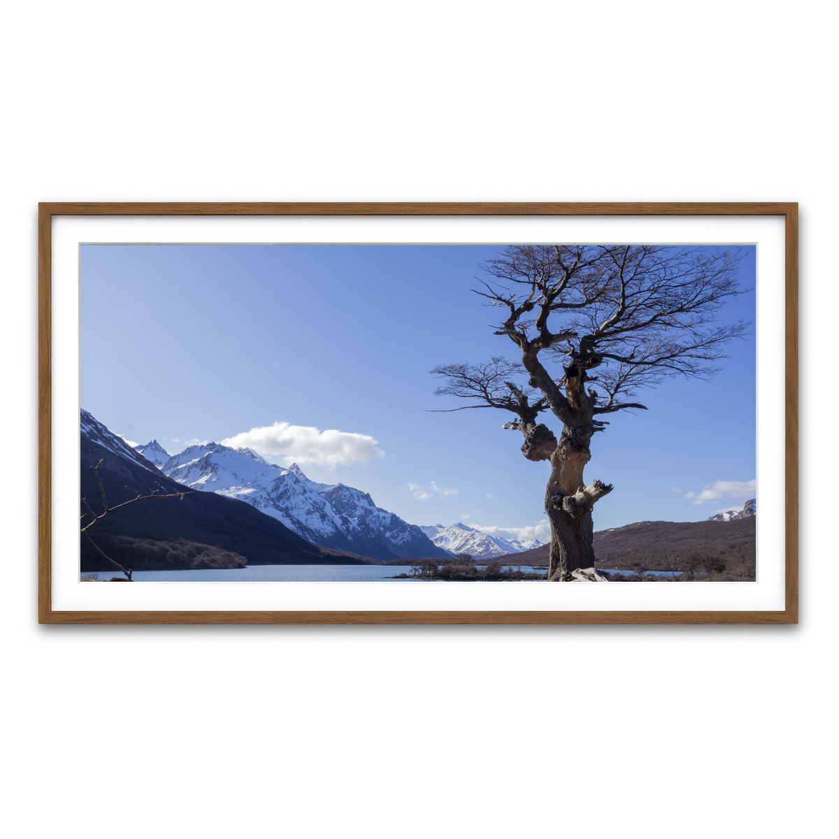 Framed Print 2x1 Walnut