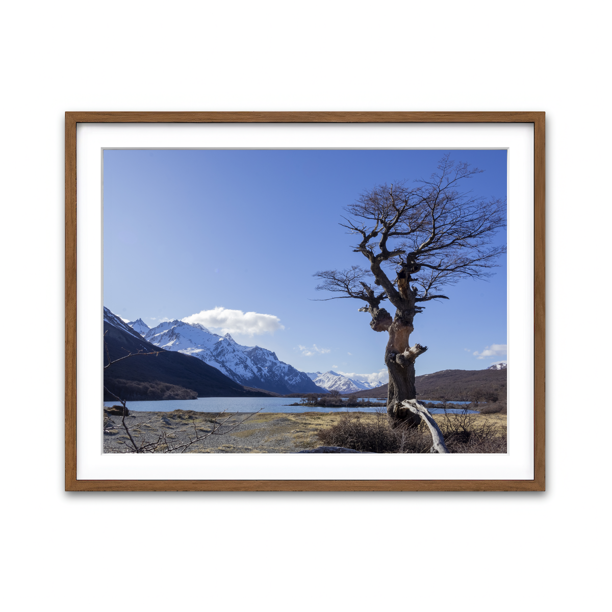 Framed Print 4x3 Walnut