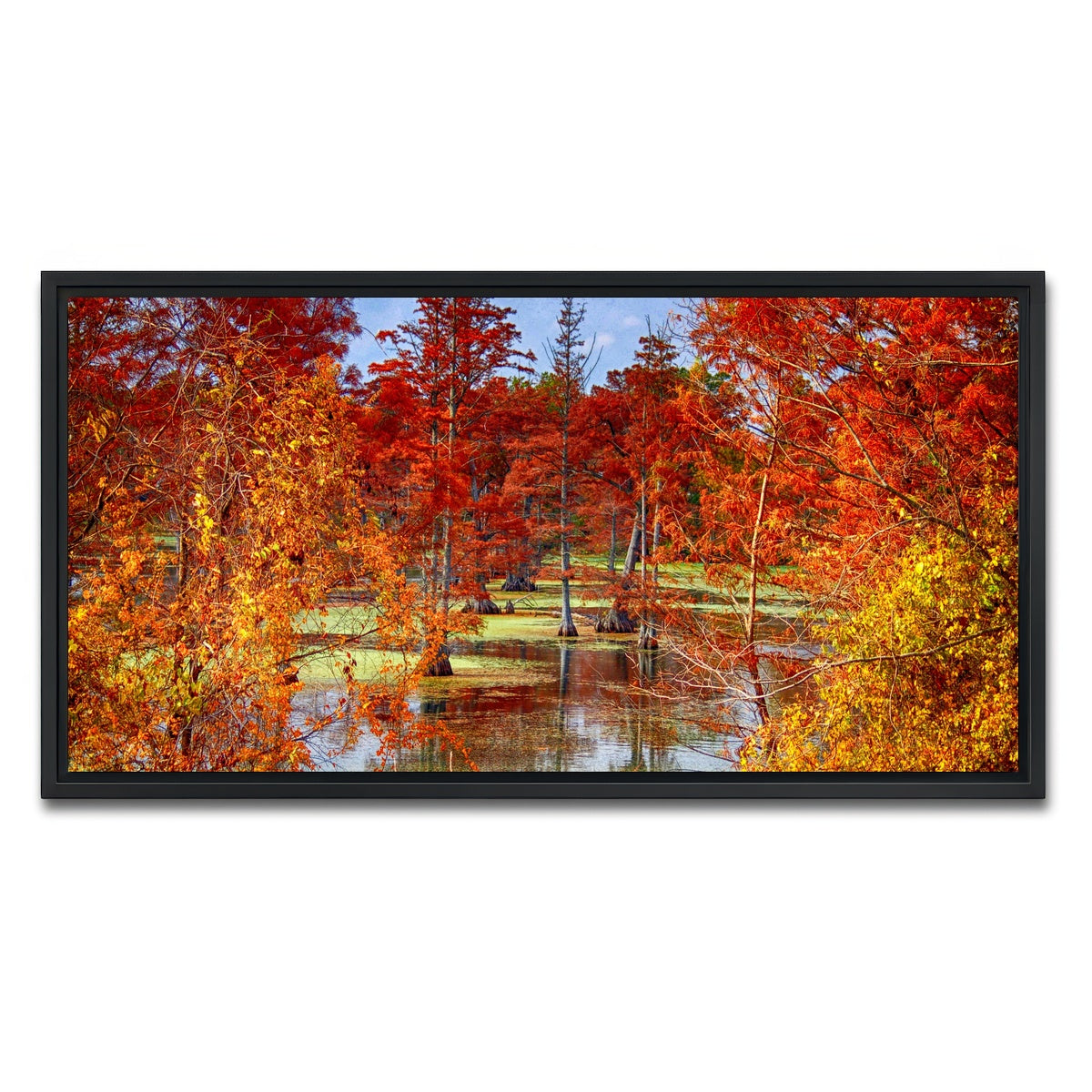 AUTO-MOCKUP WHITE | Lake Conway Cypress Trees | 1 Piece | Black Framed Canvas | group=2x1