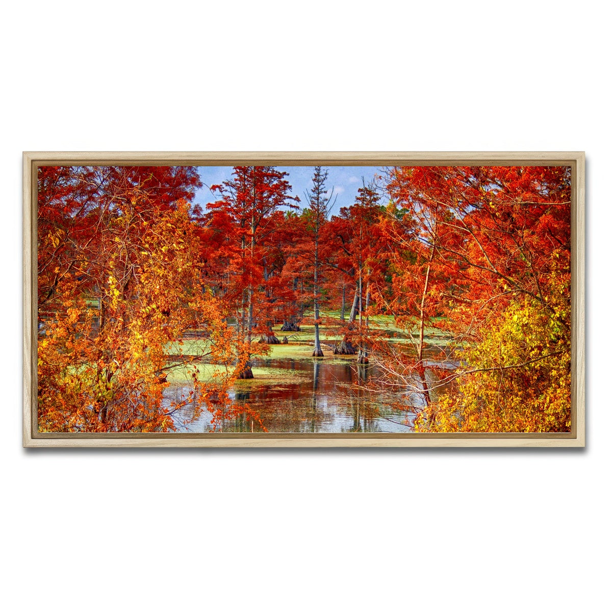 AUTO-MOCKUP WHITE | Lake Conway Cypress Trees | 1 Piece | Natural Framed Canvas | group=2x1
