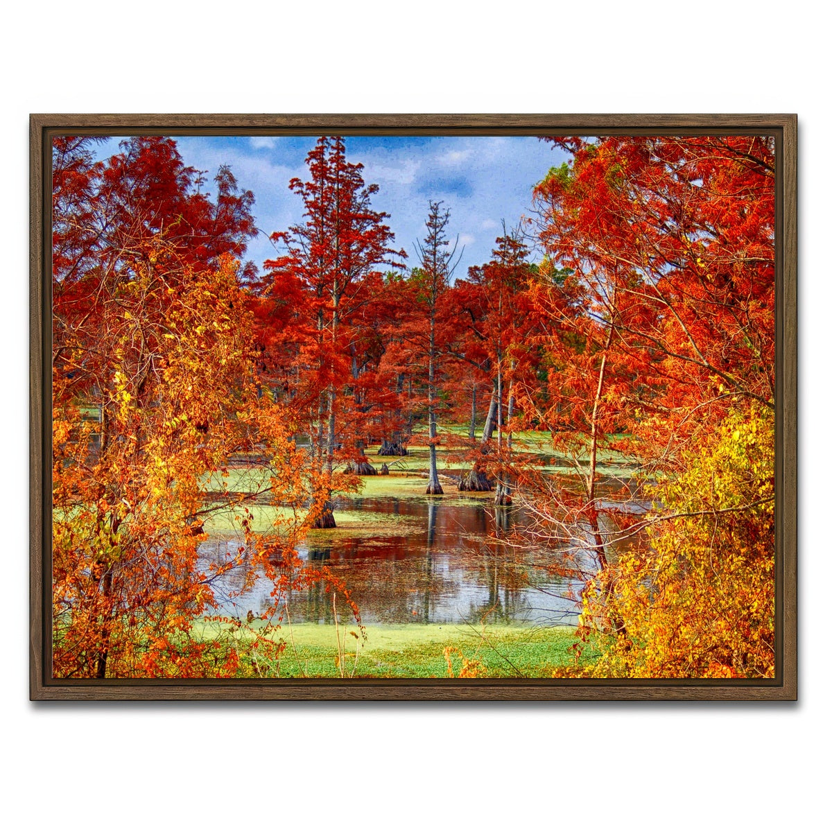 AUTO-MOCKUP WHITE | Lake Conway Cypress Trees | 1 Piece | Walnut Framed Canvas | group=4x3