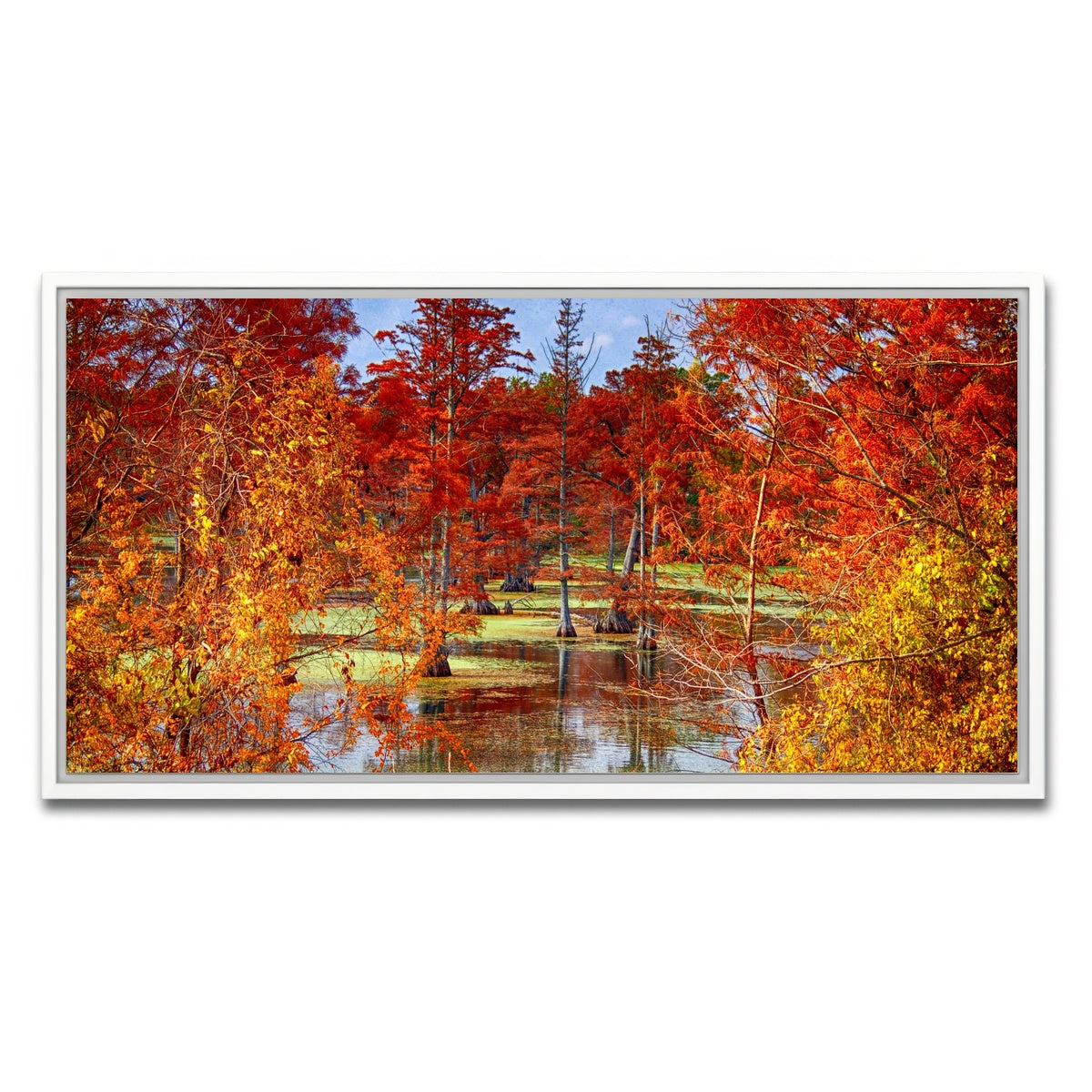 AUTO-MOCKUP WHITE | Lake Conway Cypress Trees | 1 Piece | White Framed Canvas | group=2x1