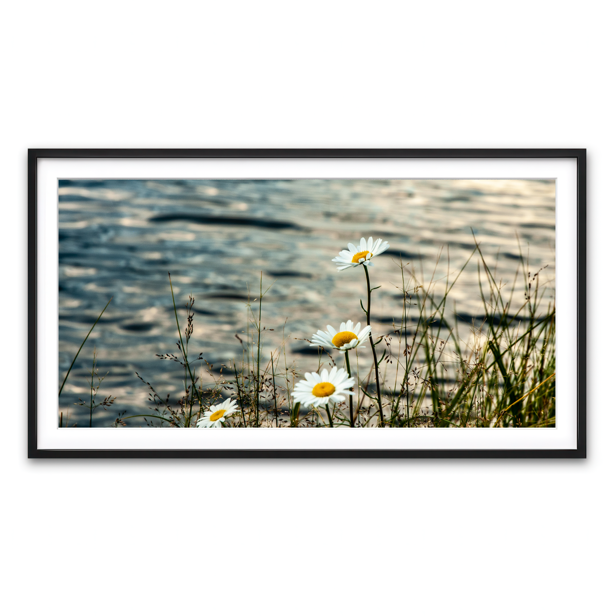 Framed Print 2x1 Black