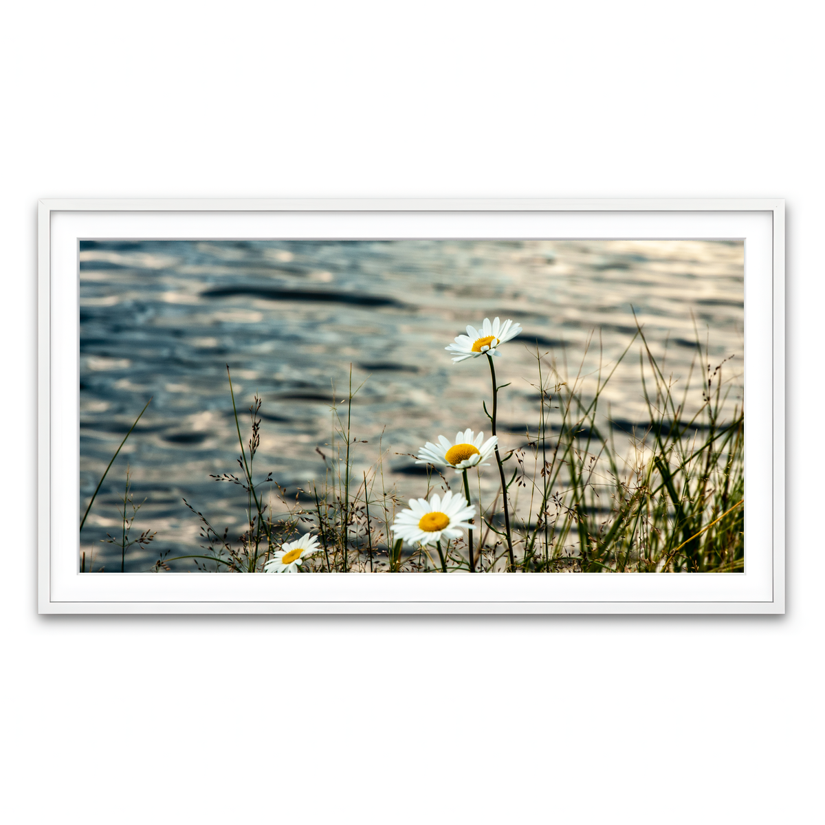 Framed Print 2x1 White