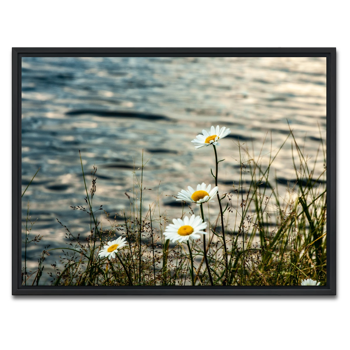 AUTO-MOCKUP WHITE | Lake Flowers | 1 Piece | Black Framed Canvas | group=4x3