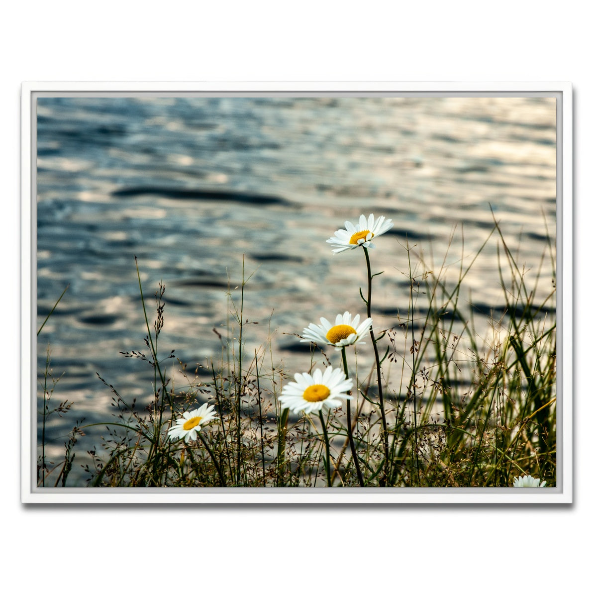AUTO-MOCKUP WHITE | Lake Flowers | 1 Piece | White Framed Canvas | group=4x3
