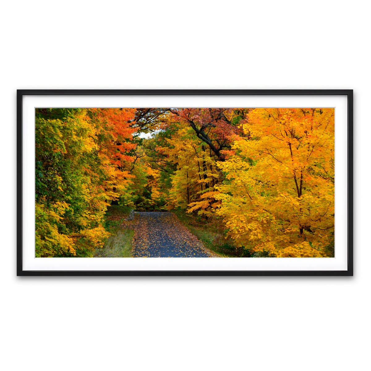 Framed Print 2x1 Black