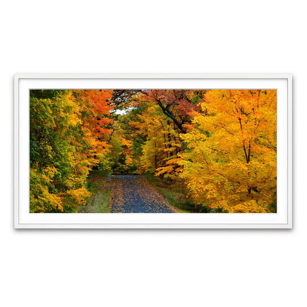 Framed Print 2x1 White