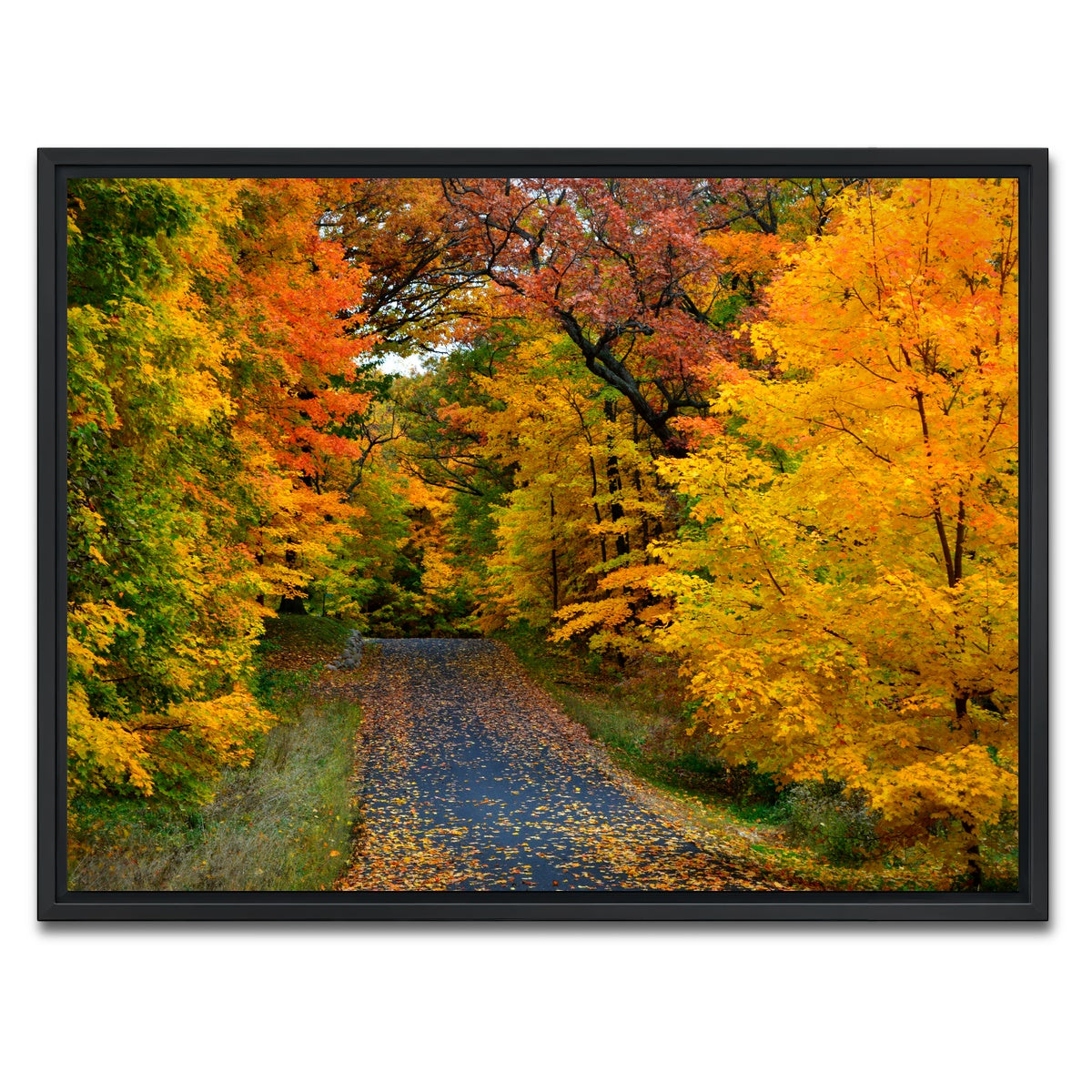 AUTO-MOCKUP WHITE | Lake Geneva Wisconsin Fall Road | 1 Piece | Black Framed Canvas | group=4x3