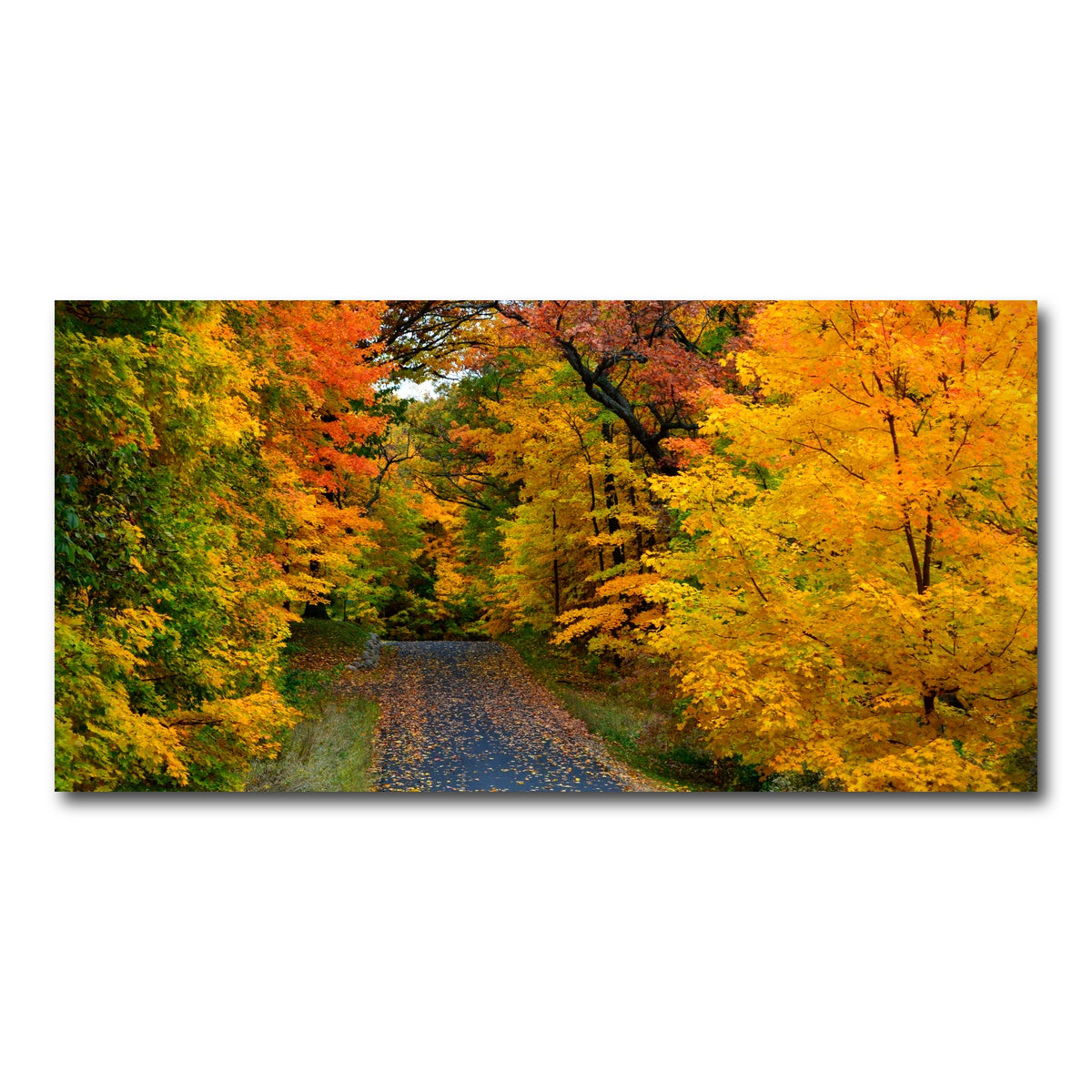 AUTO-MOCKUP WHITE | Lake Geneva Wisconsin Fall Road | 1 Piece | Gallery Wrap Canvas | group=2x1