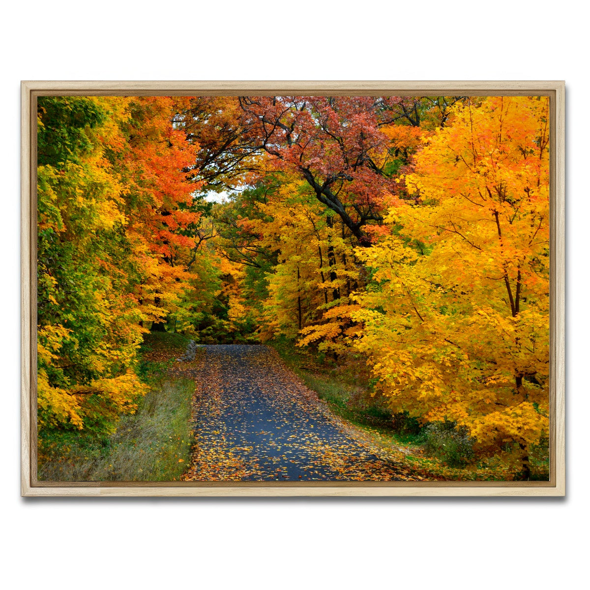 AUTO-MOCKUP WHITE | Lake Geneva Wisconsin Fall Road | 1 Piece | Natural Framed Canvas | group=4x3
