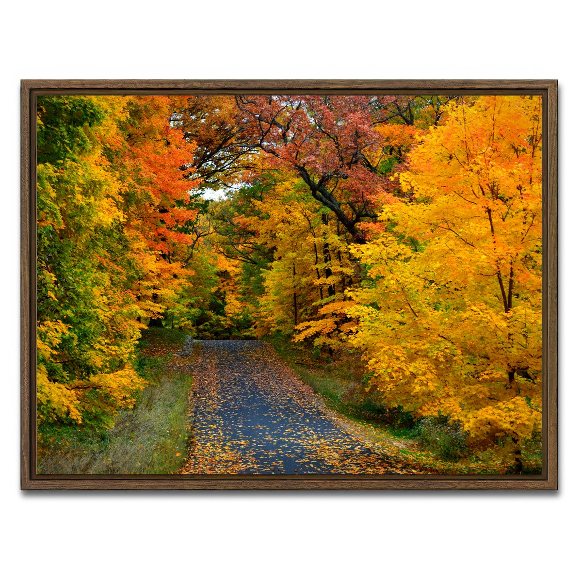 AUTO-MOCKUP WHITE | Lake Geneva Wisconsin Fall Road | 1 Piece | Walnut Framed Canvas | group=4x3