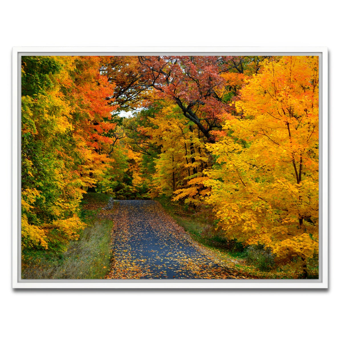 AUTO-MOCKUP WHITE | Lake Geneva Wisconsin Fall Road | 1 Piece | White Framed Canvas | group=4x3