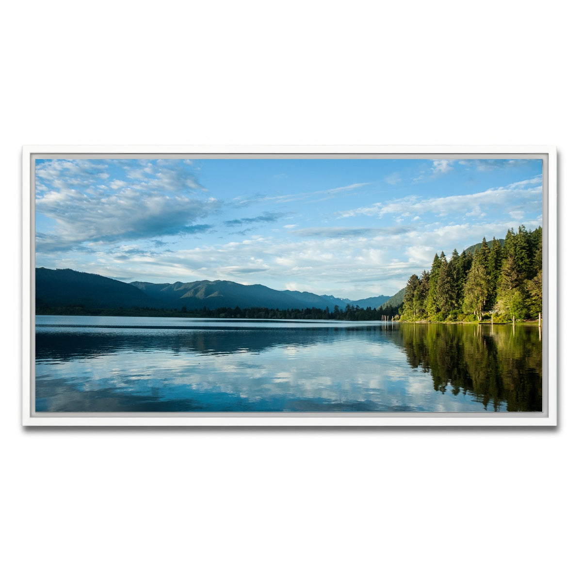 AUTO-MOCKUP WHITE | Lake Quinault | 1 Piece | White Framed Canvas | group=2x1