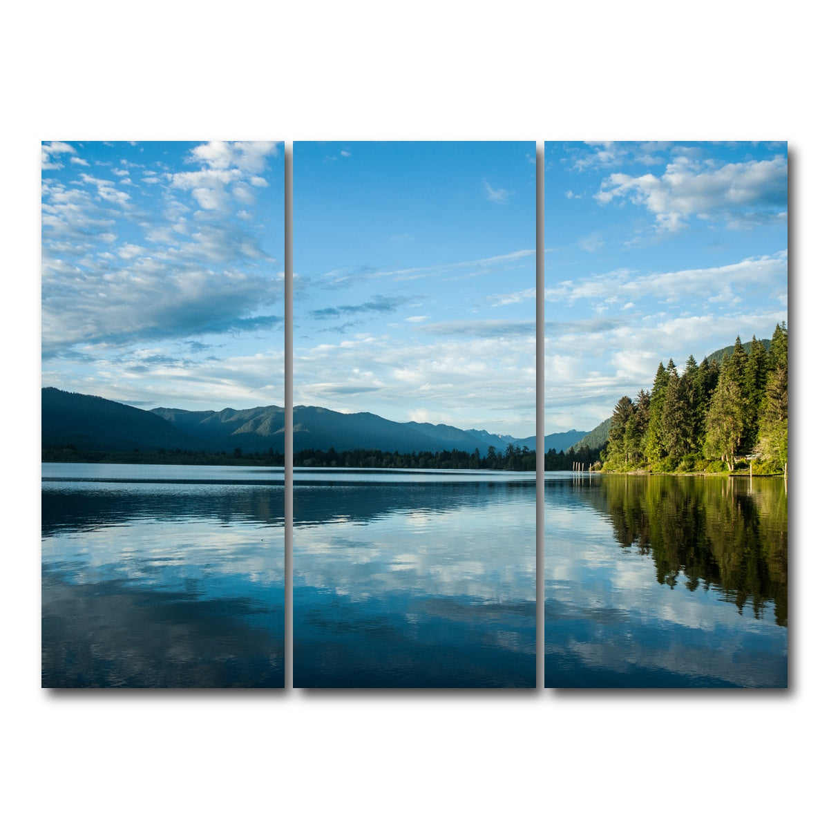 AUTO-MOCKUP WHITE | Lake Quinault | 3 Piece | Gallery Wrap Canvas | group=8x18