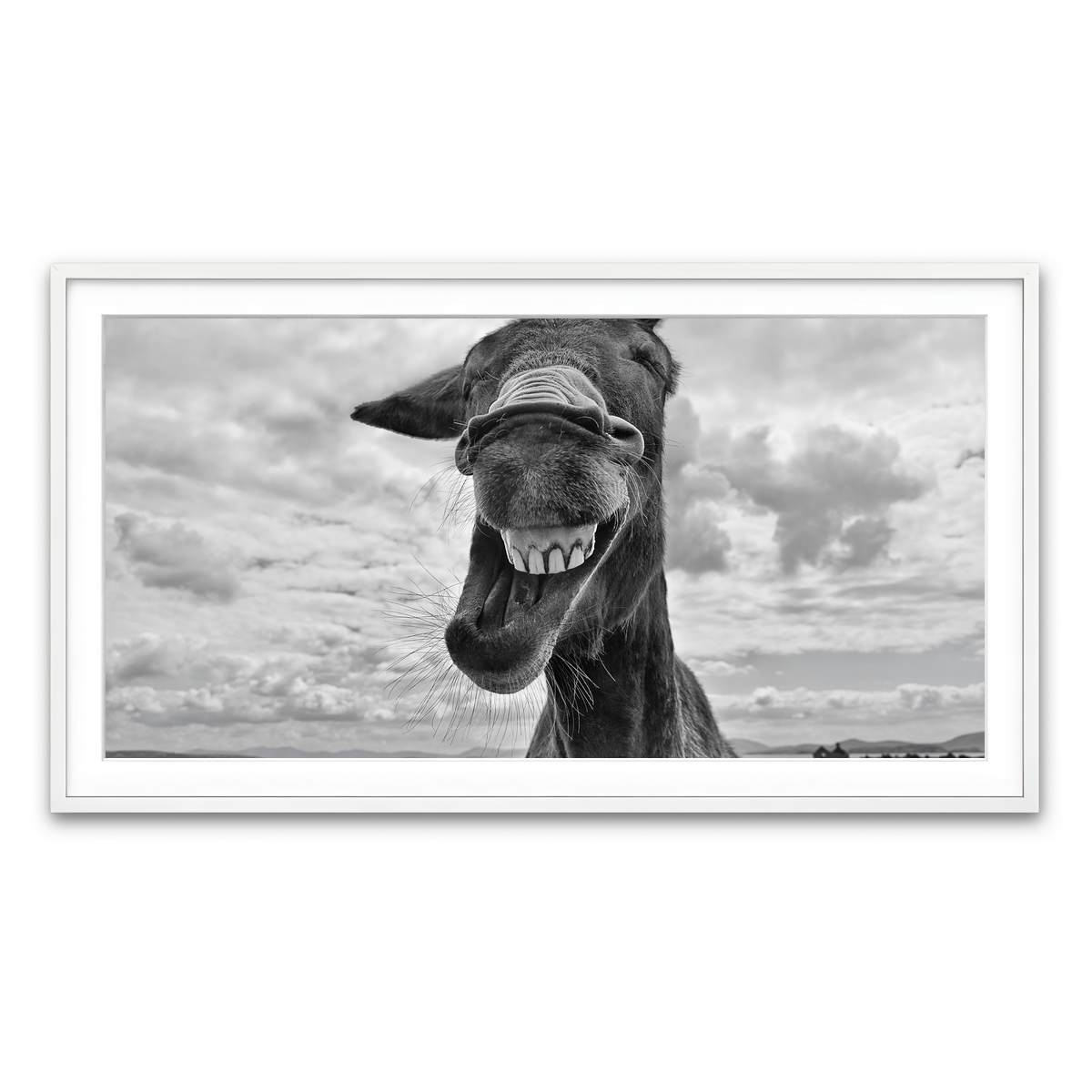 Framed Print 2x1 White