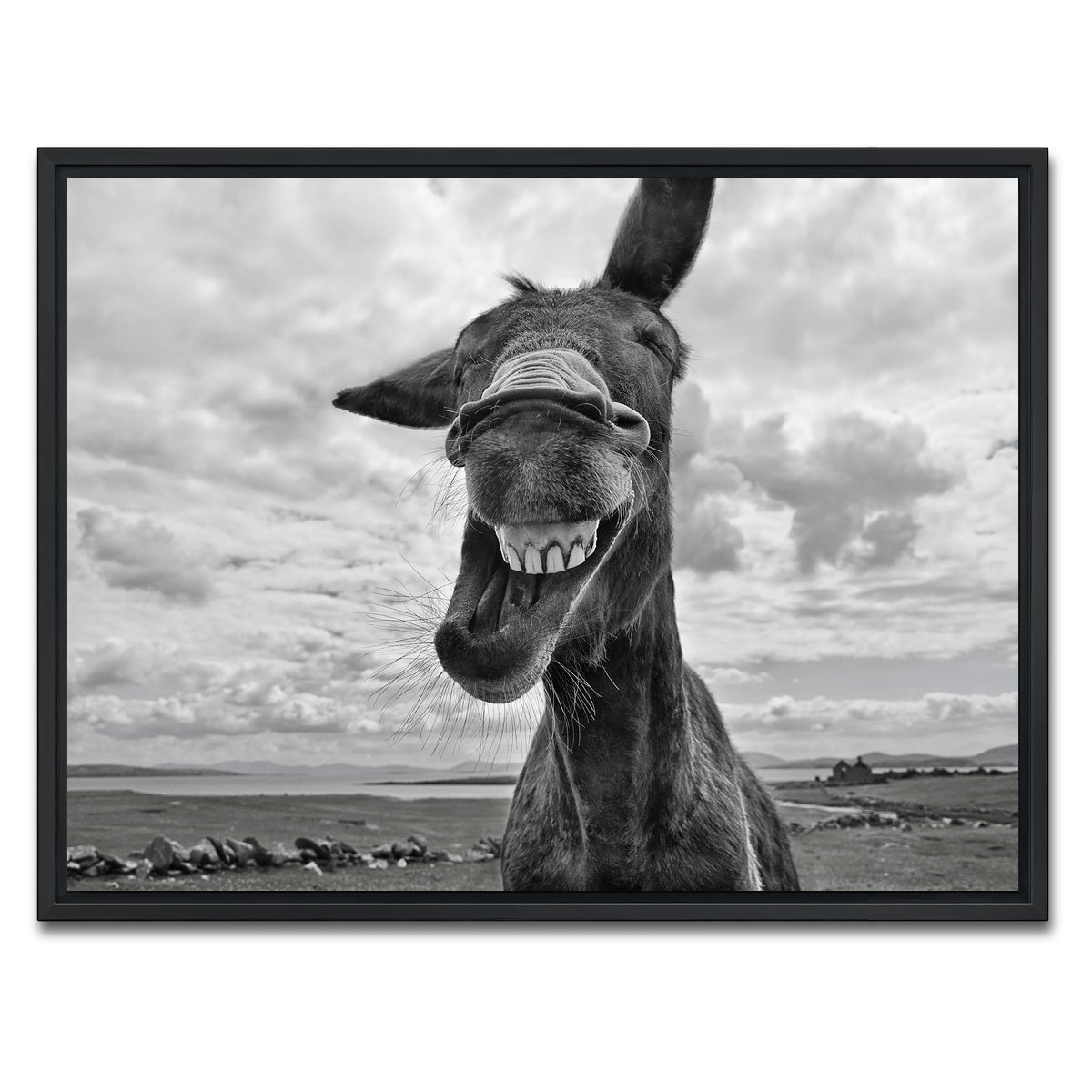 AUTO-MOCKUP WHITE | Laughing Donkey | 1 Piece | Black Framed Canvas | group=4x3