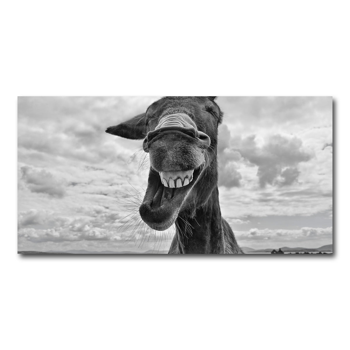 AUTO-MOCKUP WHITE | Laughing Donkey | 1 Piece | Gallery Wrap Canvas | group=2x1