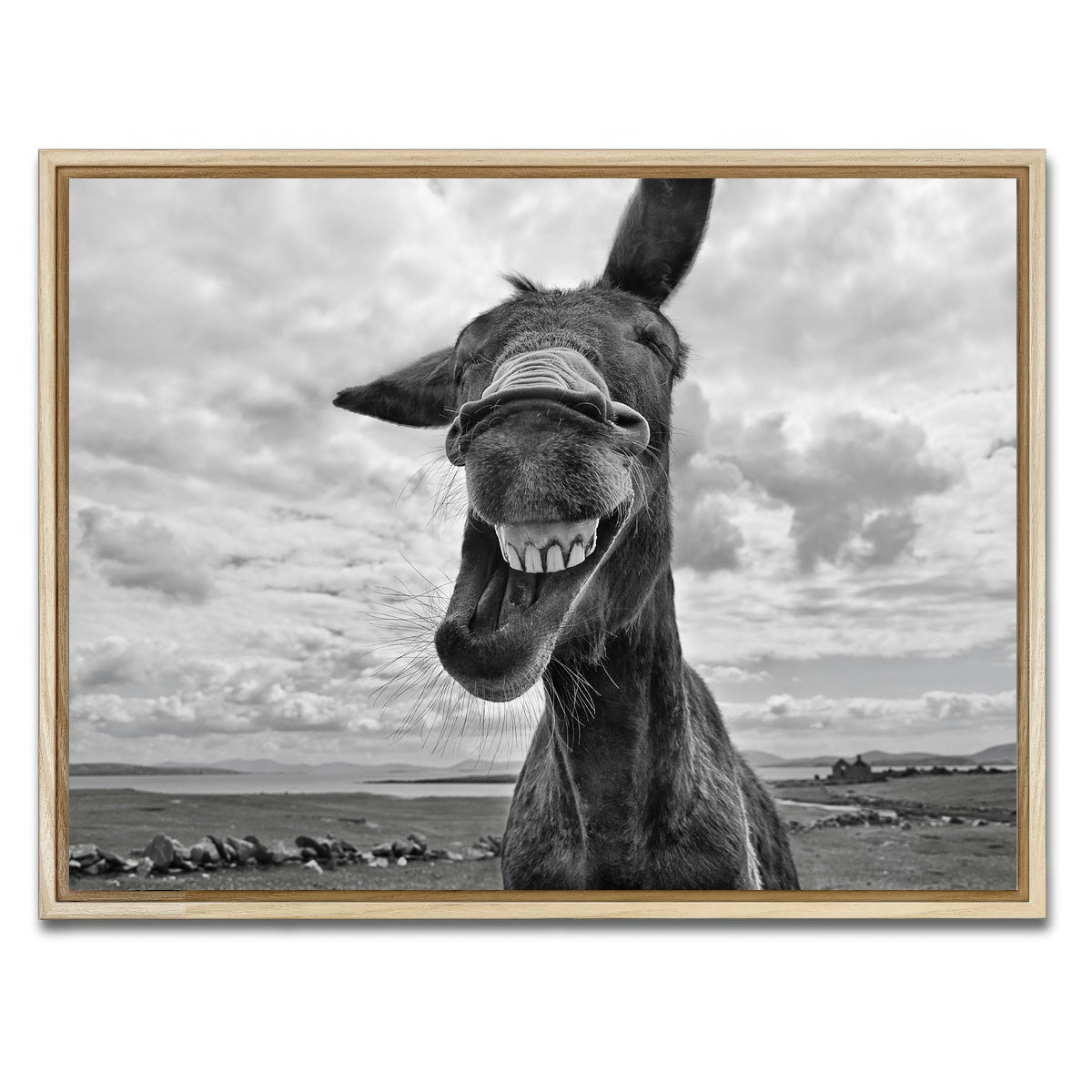 AUTO-MOCKUP WHITE | Laughing Donkey | 1 Piece | Natural Framed Canvas | group=4x3