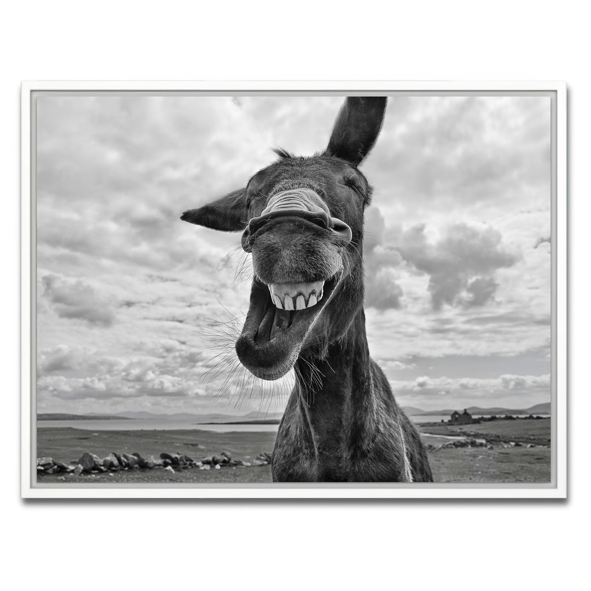 AUTO-MOCKUP WHITE | Laughing Donkey | 1 Piece | White Framed Canvas | group=4x3