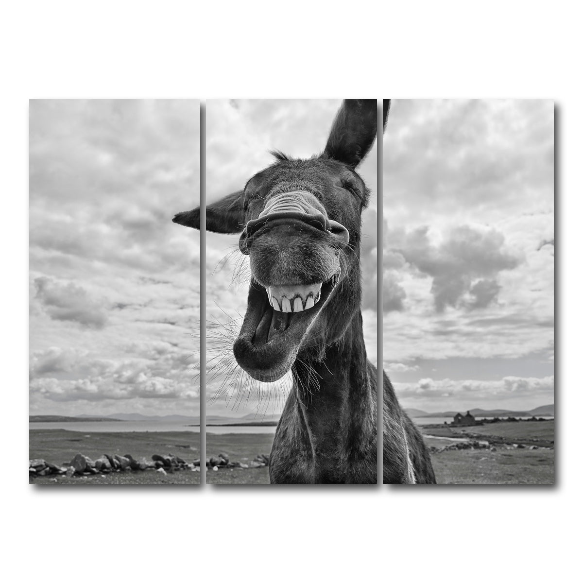 AUTO-MOCKUP WHITE | Laughing Donkey | 3 Piece | Gallery Wrap Canvas | group=8x18
