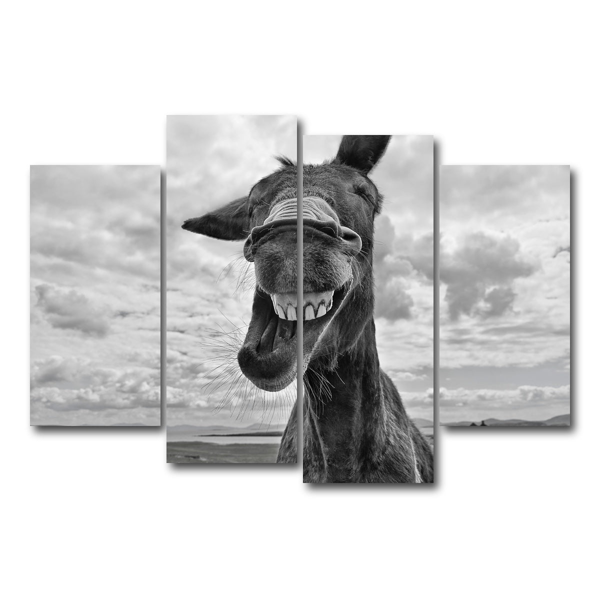 AUTO-MOCKUP WHITE | Laughing Donkey | 4 Piece | Gallery Wrap Canvas | group=4_short