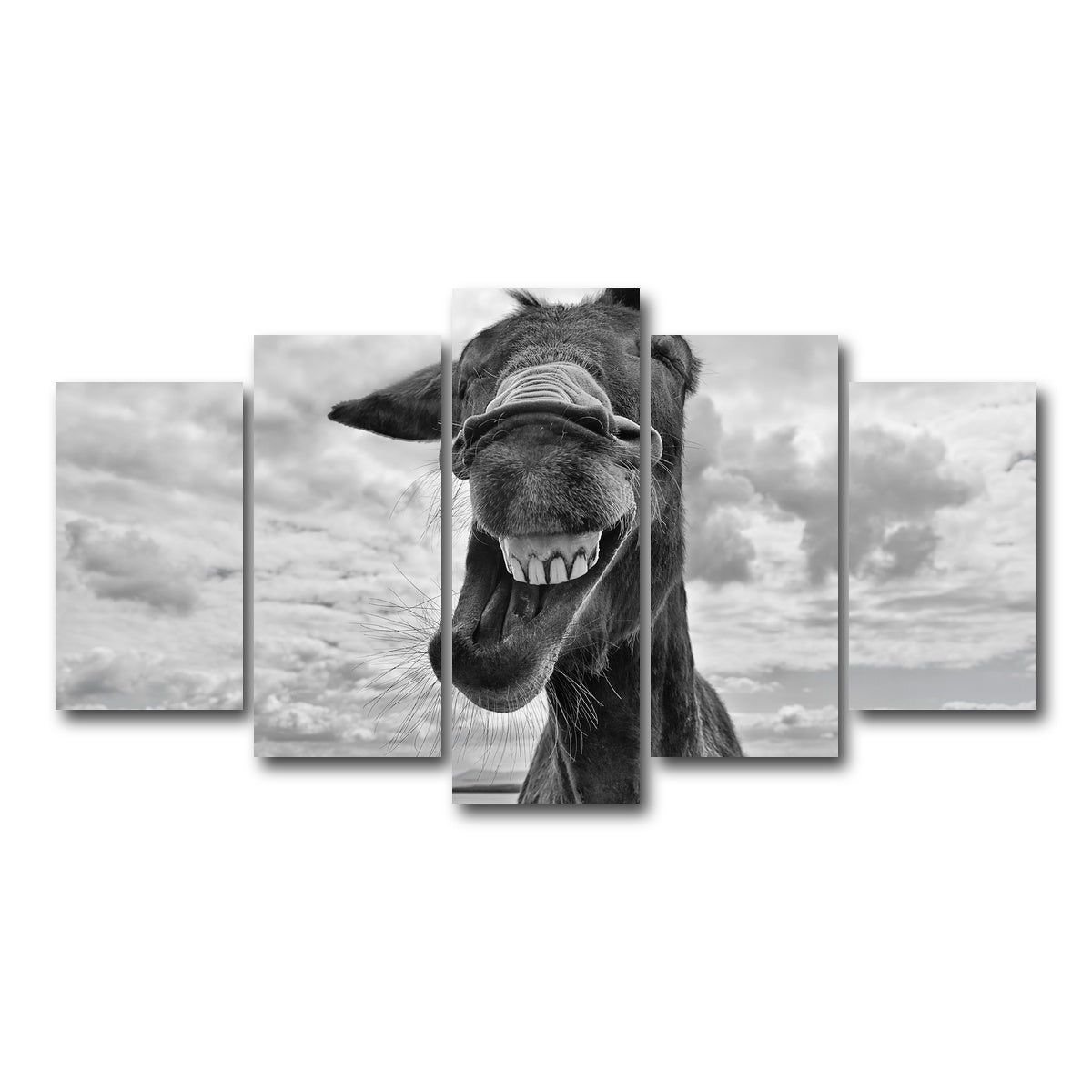 AUTO-MOCKUP WHITE | Laughing Donkey | 5 Piece | Gallery Wrap Canvas | group=5_normal