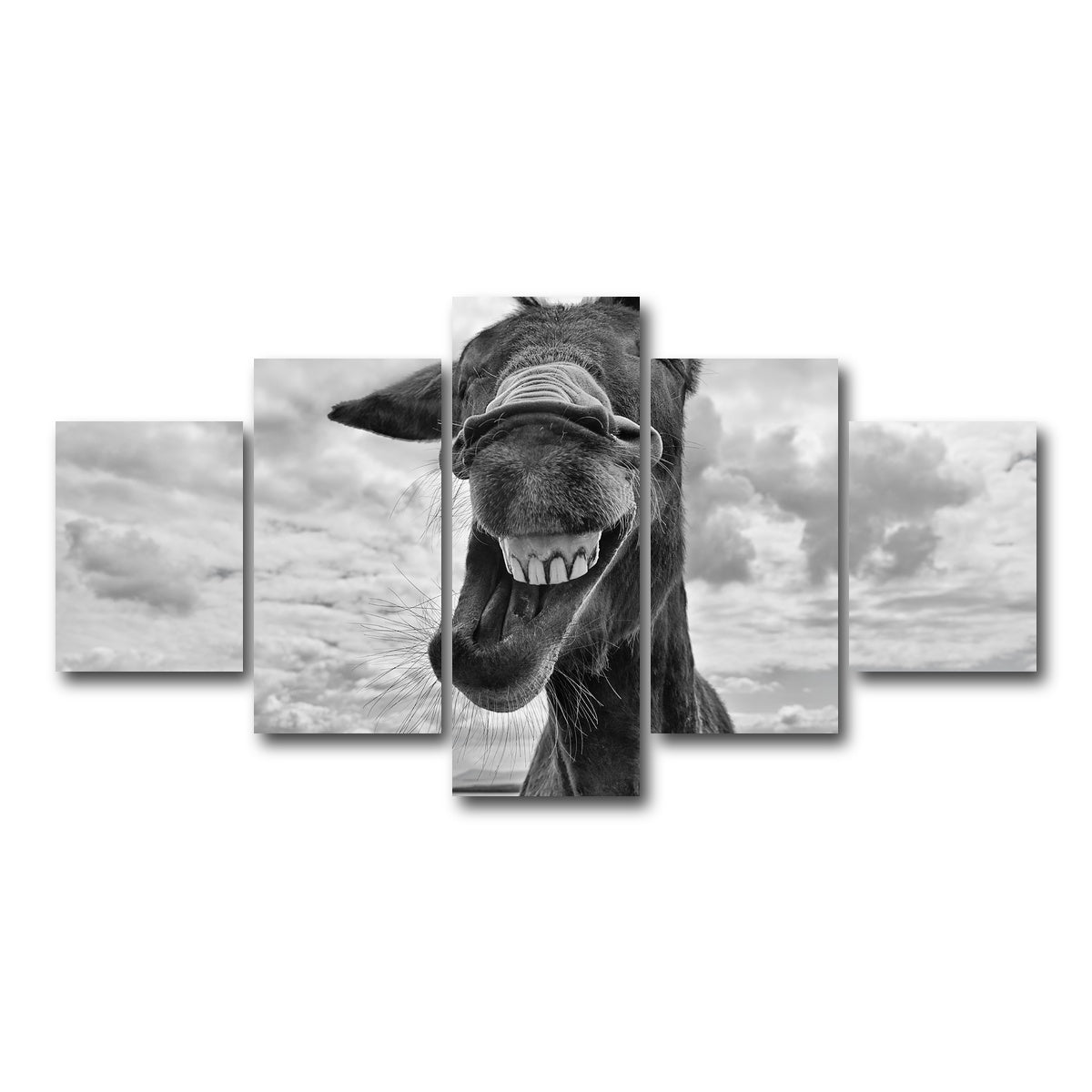 AUTO-MOCKUP WHITE | Laughing Donkey | 5 Piece | Gallery Wrap Canvas | group=5_short
