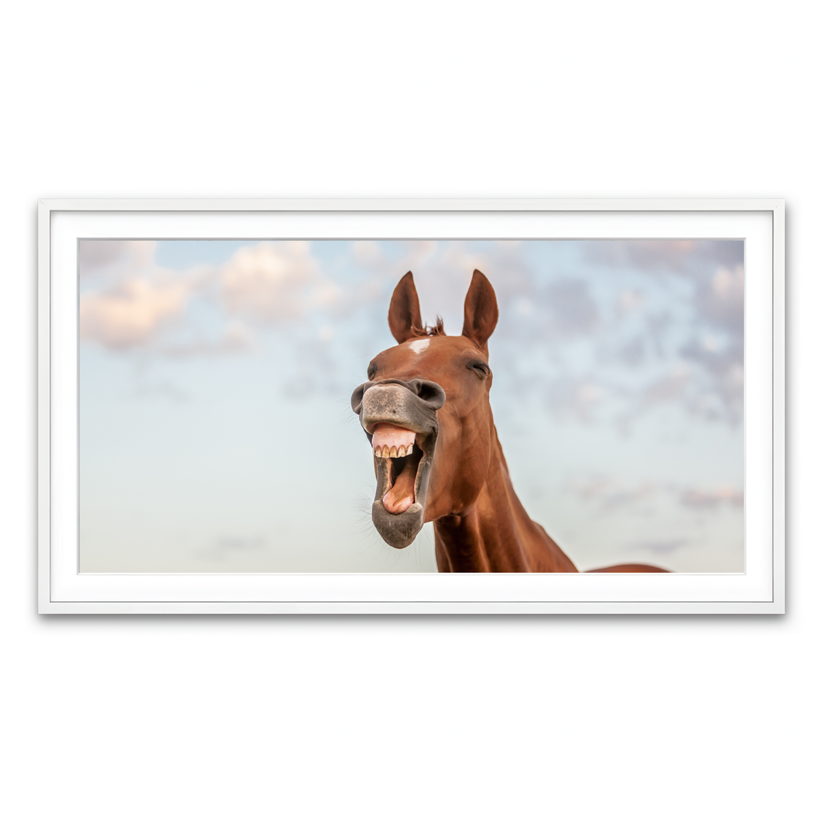 Framed Print 2x1 White