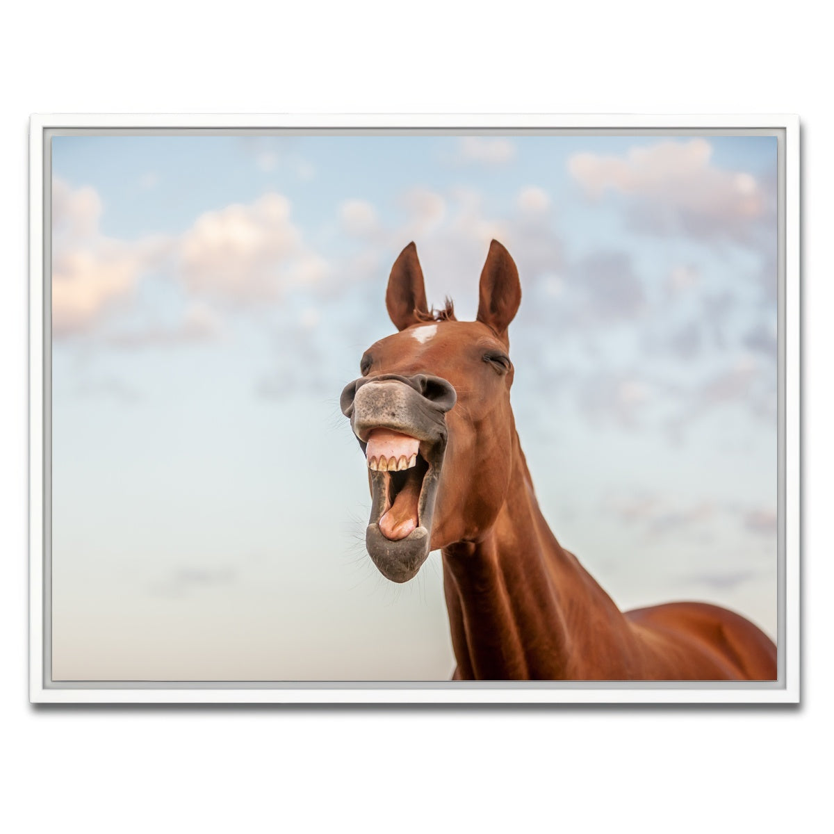 AUTO-MOCKUP WHITE | Laughing horse | 1 Piece | White Framed Canvas | group=4x3