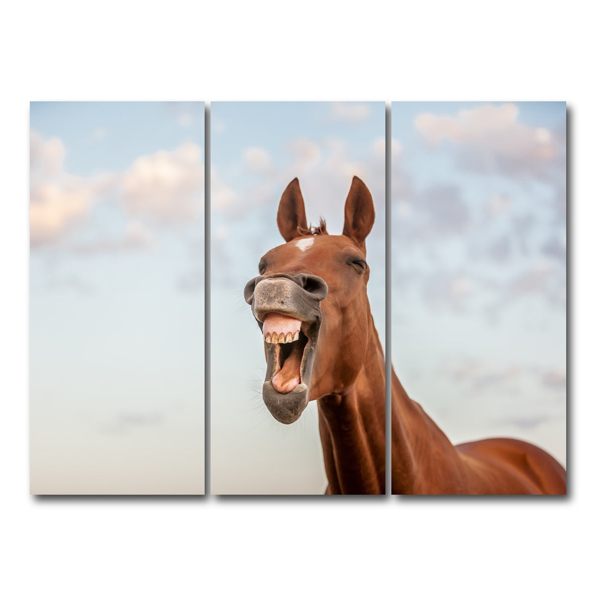 AUTO-MOCKUP WHITE | Laughing horse | 3 Piece | Gallery Wrap Canvas | group=8x18