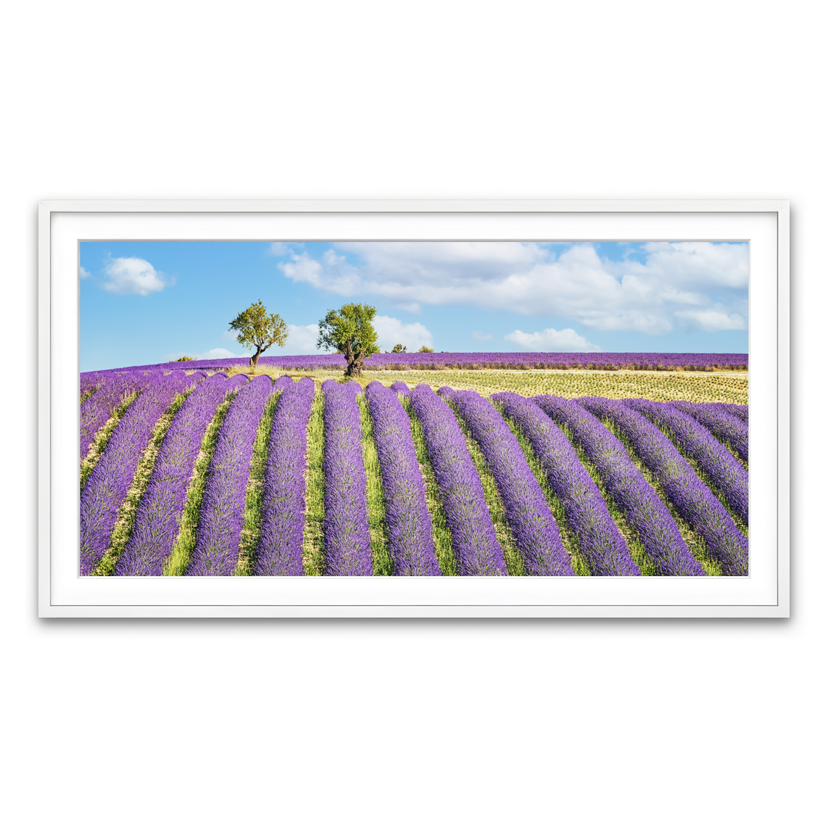 Framed Print 2x1 White