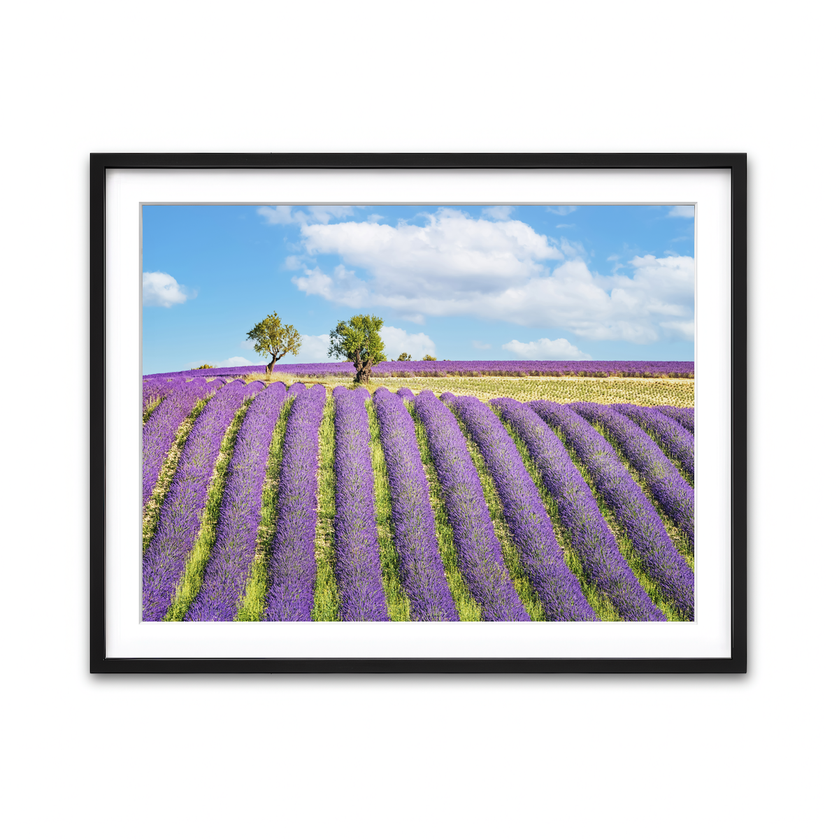 Framed Print 4x3 Black