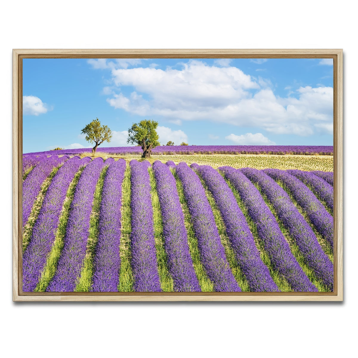 AUTO-MOCKUP WHITE | Lavender Field | 1 Piece | Natural Framed Canvas | group=4x3