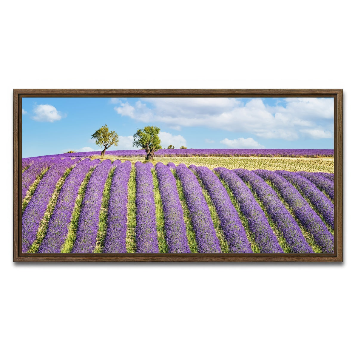 AUTO-MOCKUP WHITE | Lavender Field | 1 Piece | Walnut Framed Canvas | group=2x1