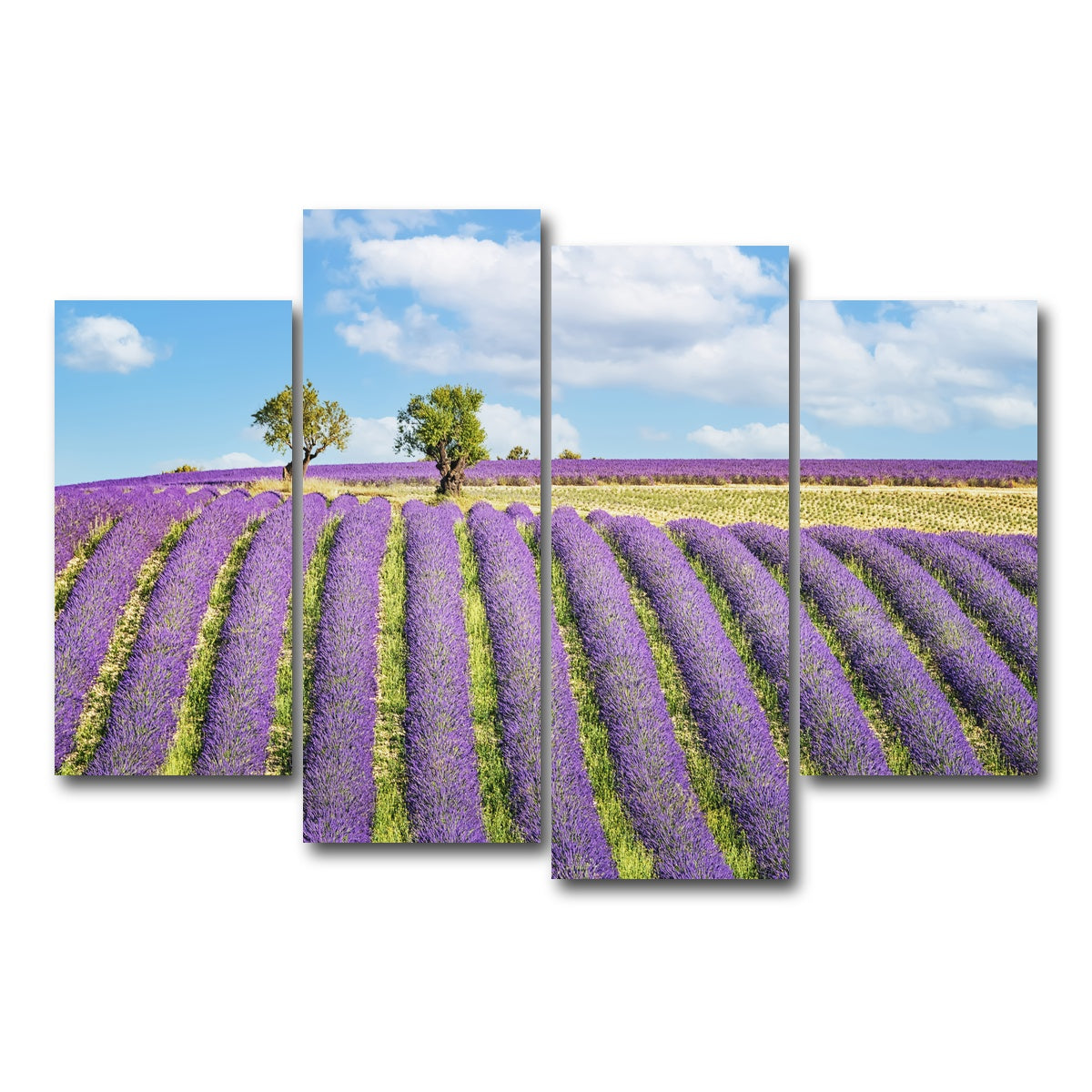 AUTO-MOCKUP WHITE | Lavender Field | 4 Piece | Gallery Wrap Canvas | group=4_short