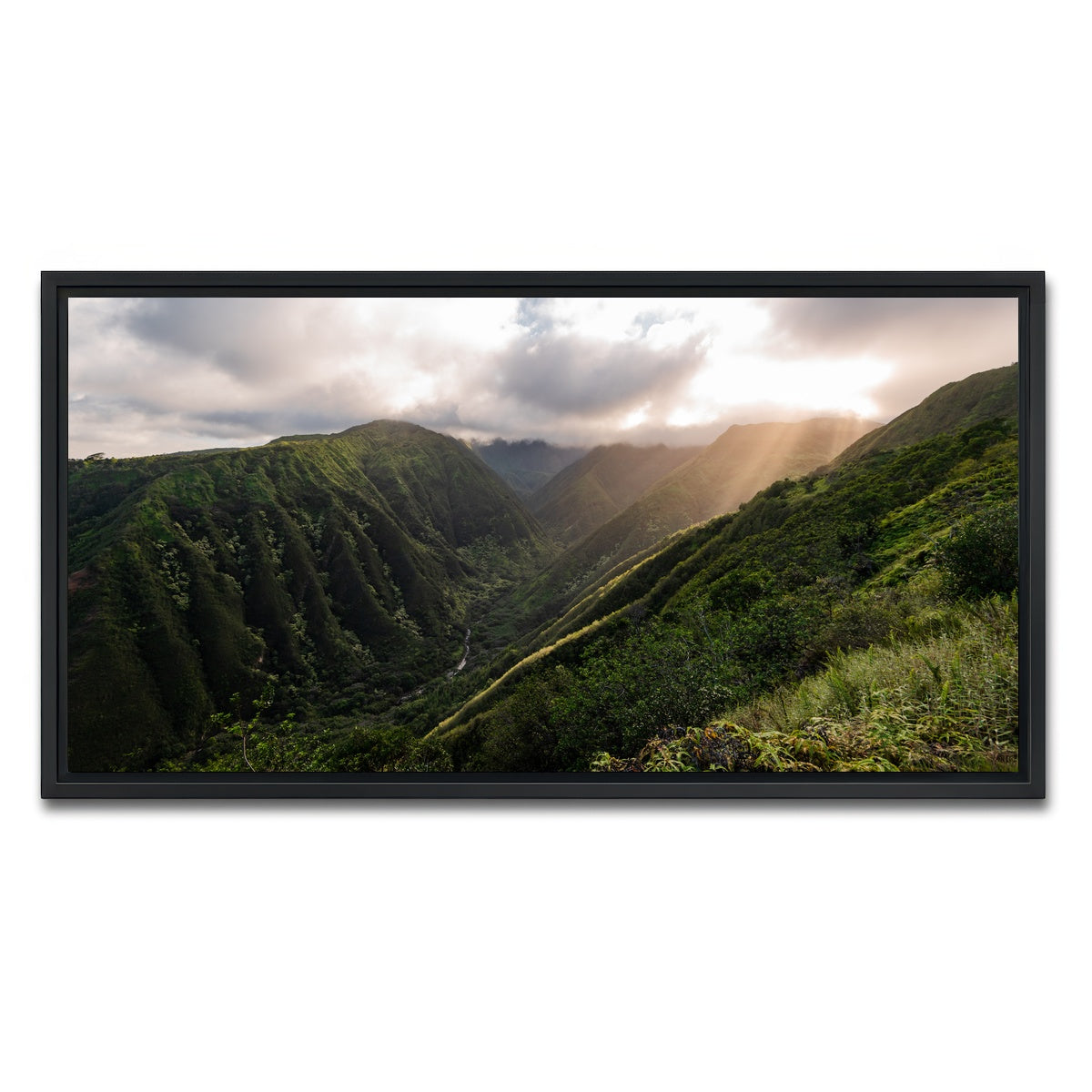 AUTO-MOCKUP WHITE | Light in the Valley | 1 Piece | Black Framed Canvas | group=2x1
