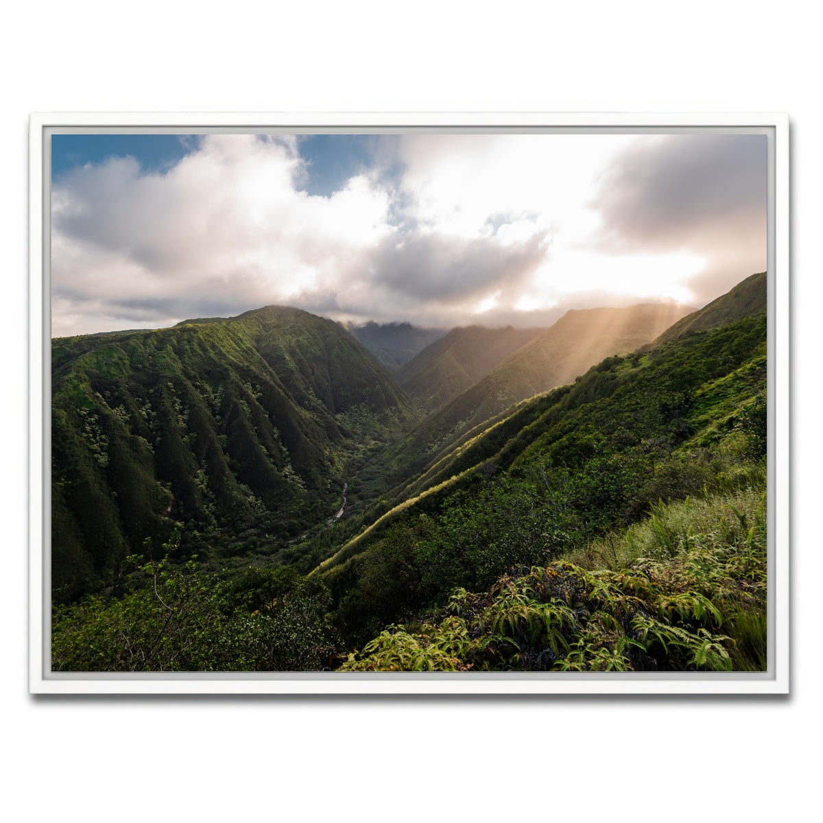 AUTO-MOCKUP WHITE | Light in the Valley | 1 Piece | White Framed Canvas | group=4x3