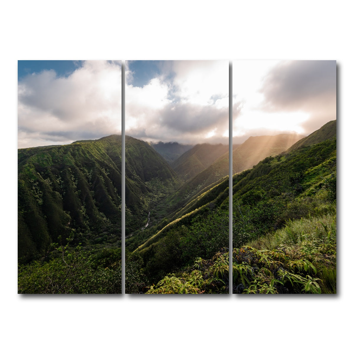 AUTO-MOCKUP WHITE | Light in the Valley | 3 Piece | Gallery Wrap Canvas | group=8x18