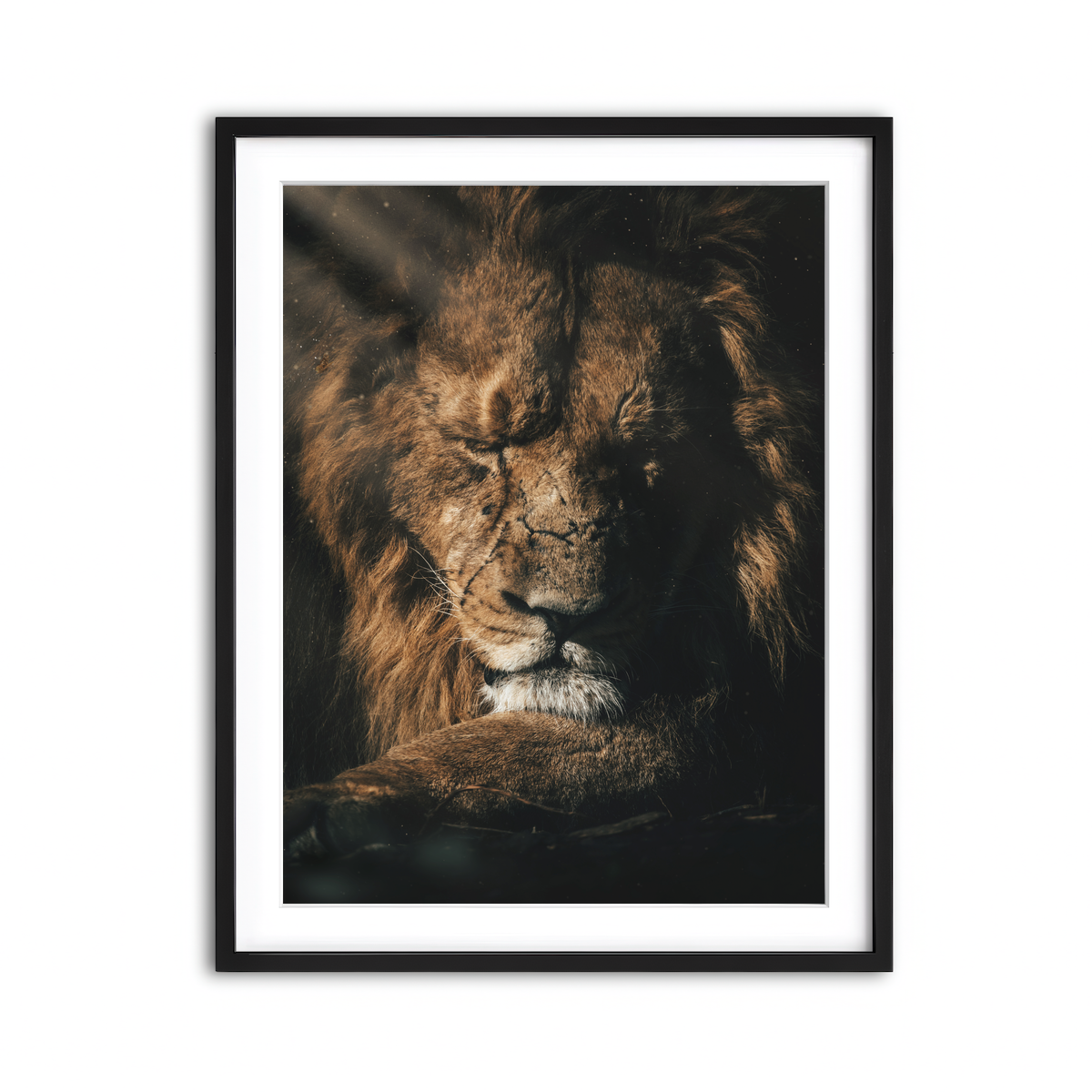 Framed Print 3x4 Black