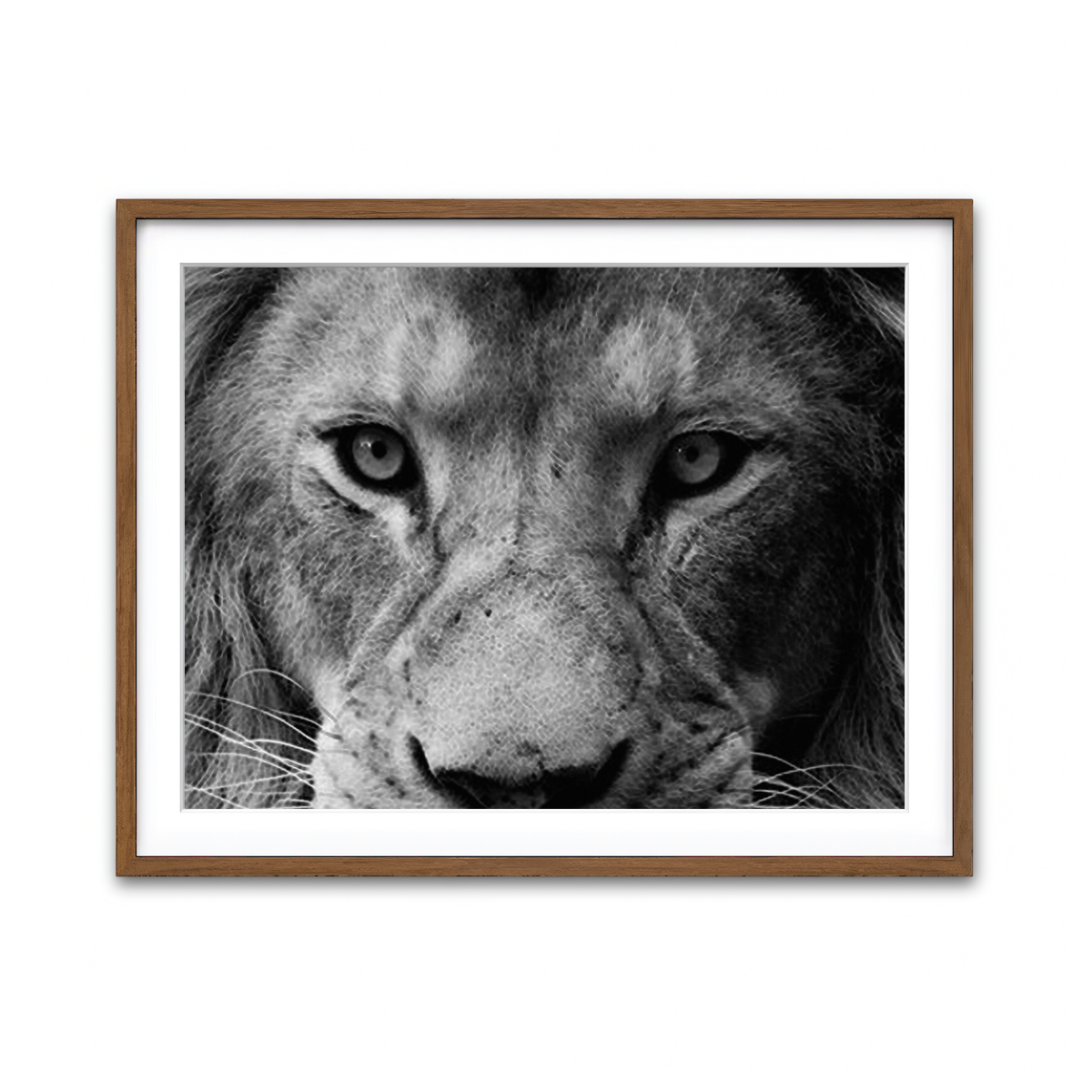 Framed Print 4x3 Walnut