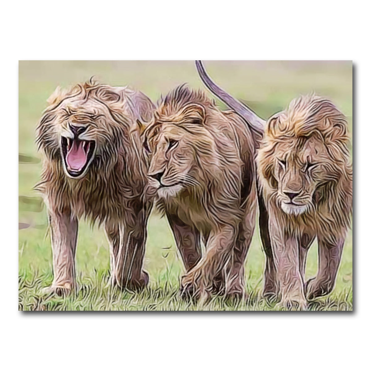 AUTO-MOCKUP WHITE | Lions Art | 1 Piece | Gallery Wrap Canvas | group=4x3