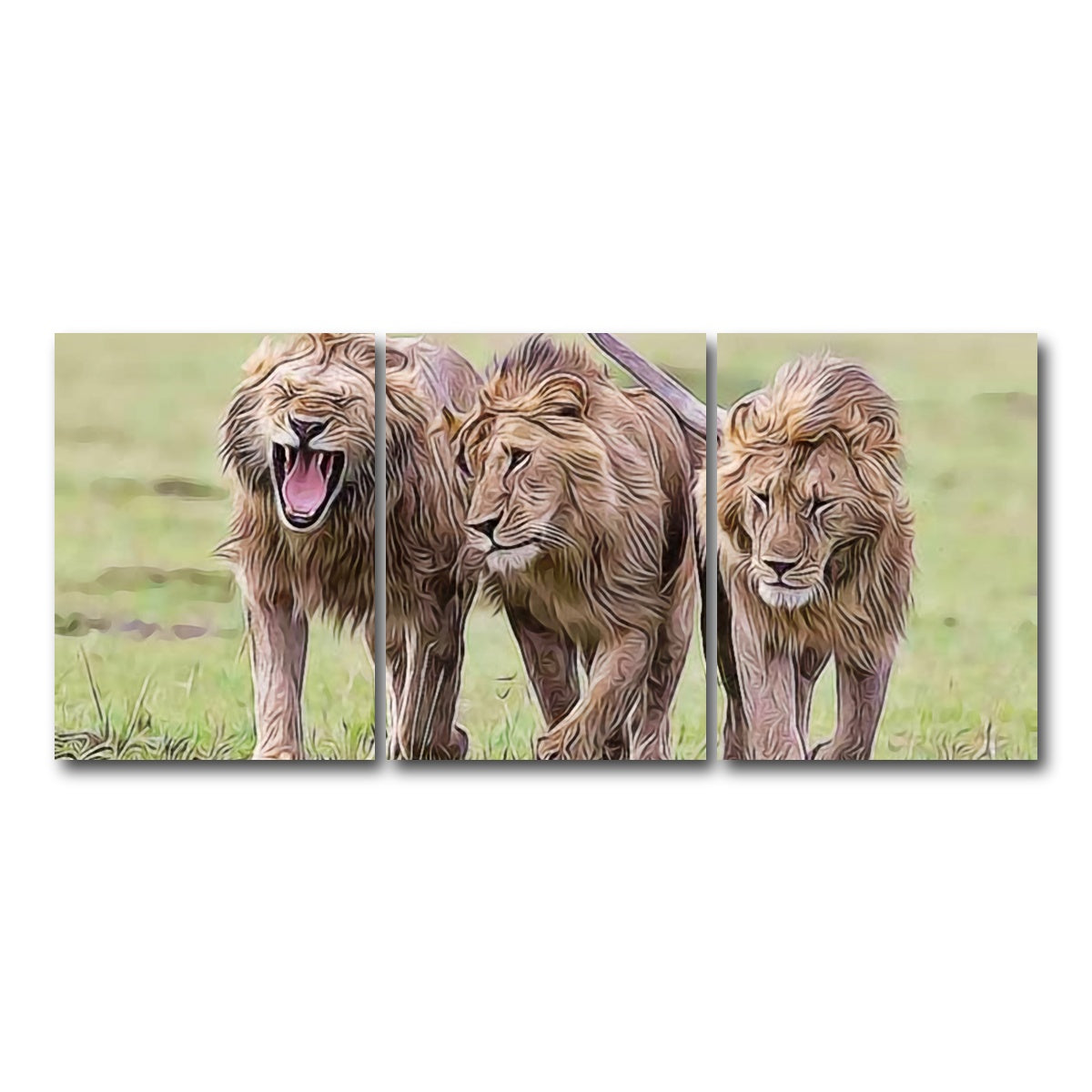 AUTO-MOCKUP WHITE | Lions Art | 3 Piece | Gallery Wrap Canvas | group=18x24