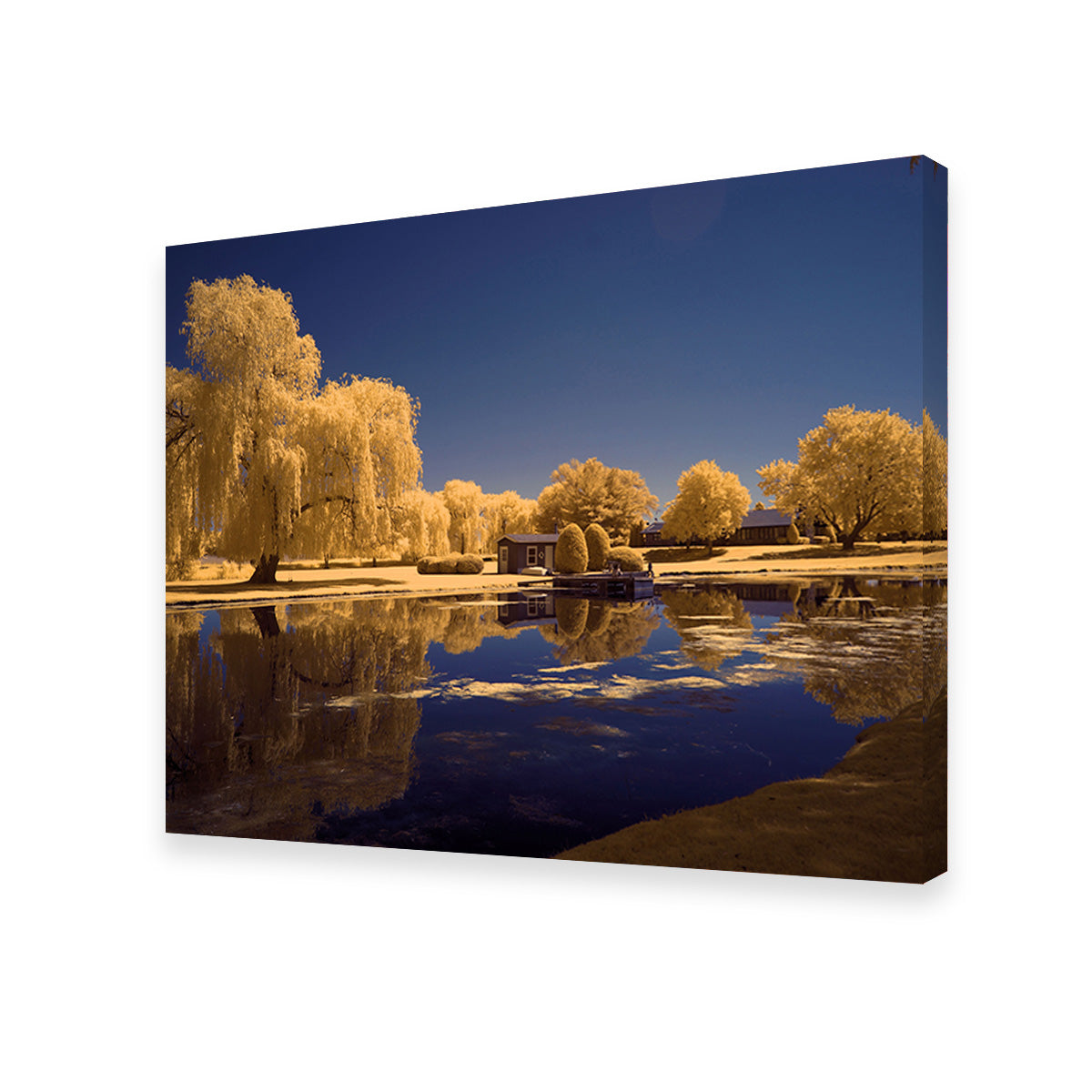 Lippold Park Wall Art
